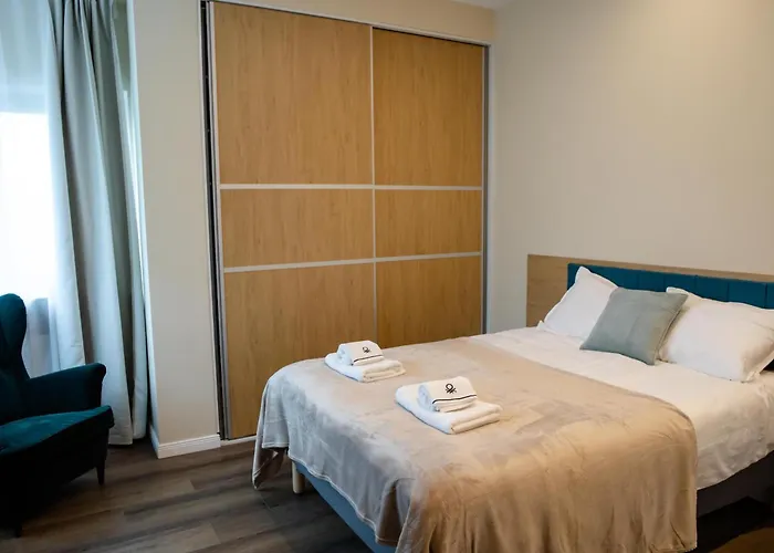 Deluxe One-Bedroom Apartment