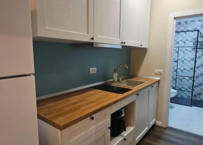 Deluxe One-Bedroom Apartment