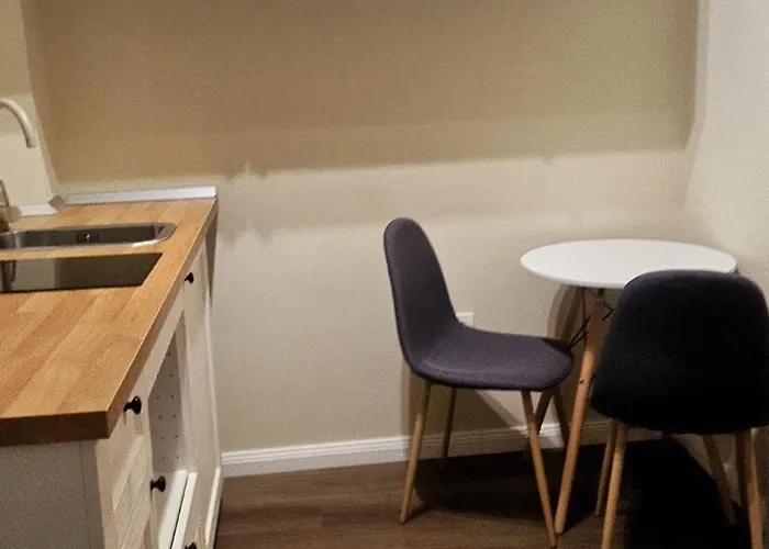 Deluxe One-Bedroom Apartment